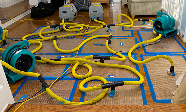 Professional Basement Flood Cleanup technician working in Massapequa, NY